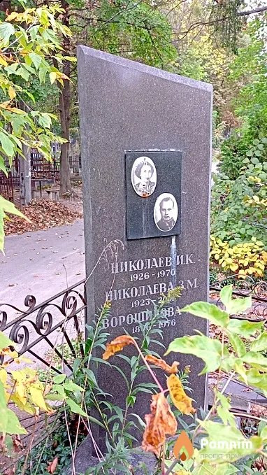 Николаева З М