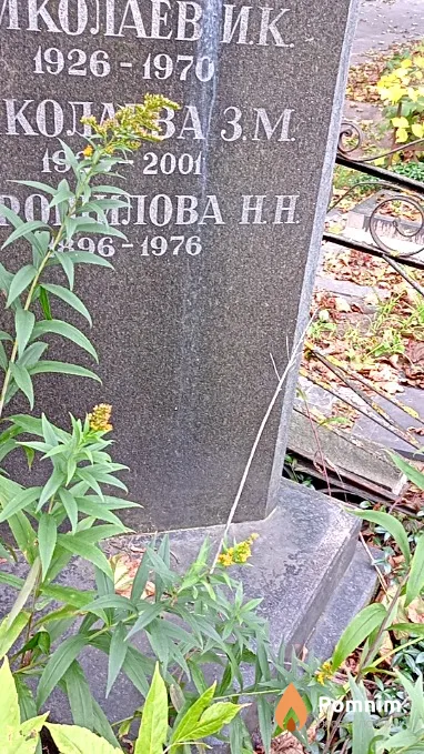 Ворошилова Н Н