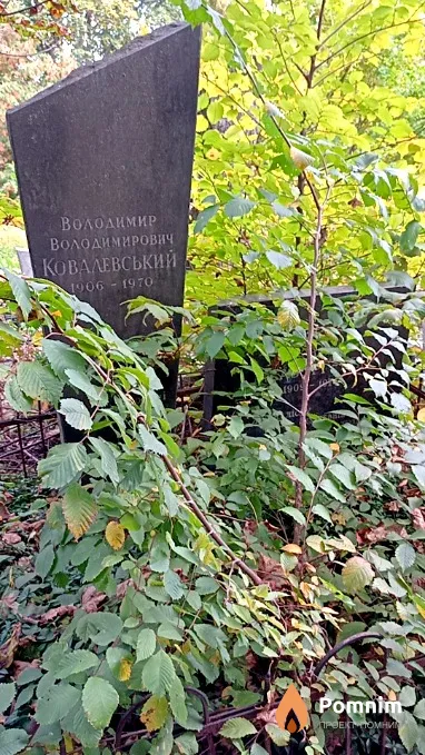 Ковалевський Володимир Володимирович