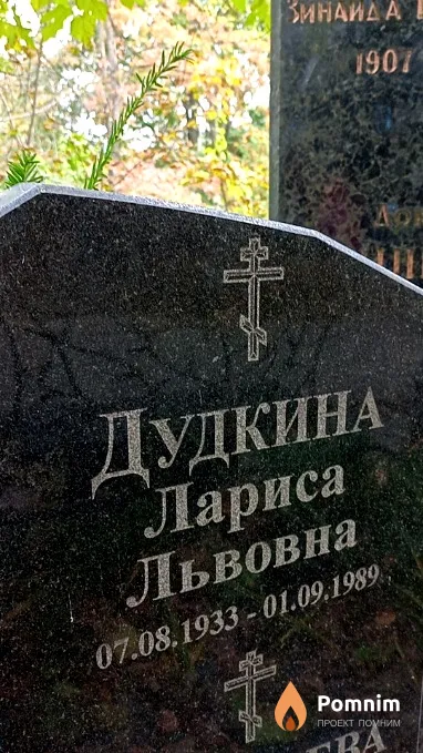 Дудкина Лариса Львовна