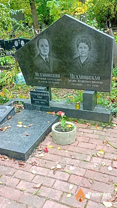 Крижановская Анна Викентьевна