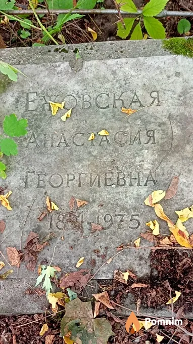 Ежовская Анастасия Георгиевна