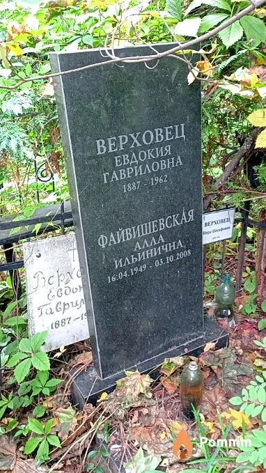 Файвышевская Алла Ильинична