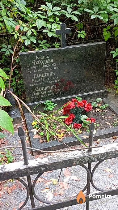 Чегодаев Георгий Николаевич
