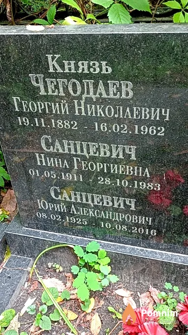 Санцевич Нина Георгиевна
