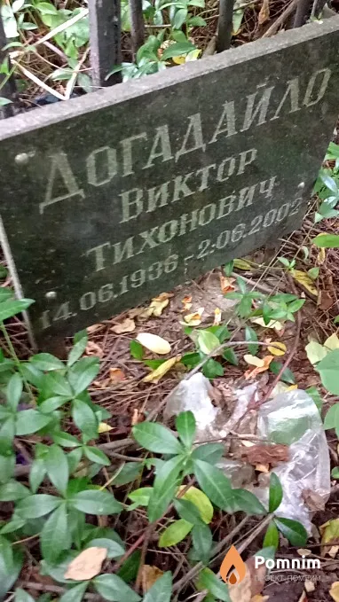 Догадайло Виктор Тихонович