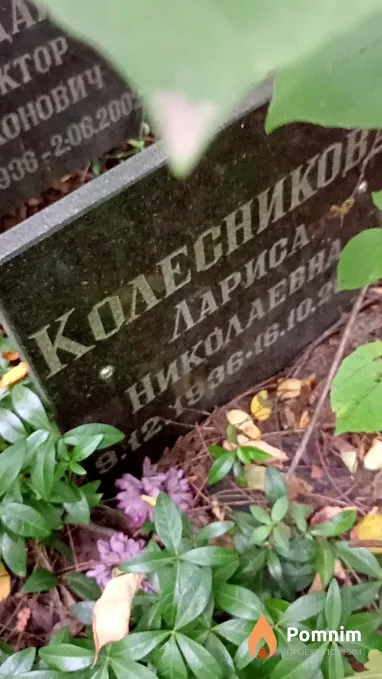 Колесникова Лариса Николаевна
