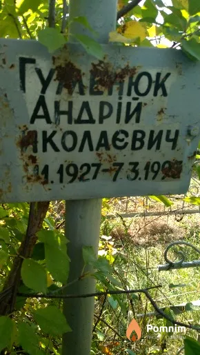 Гуменюк Андрій Иколаевич