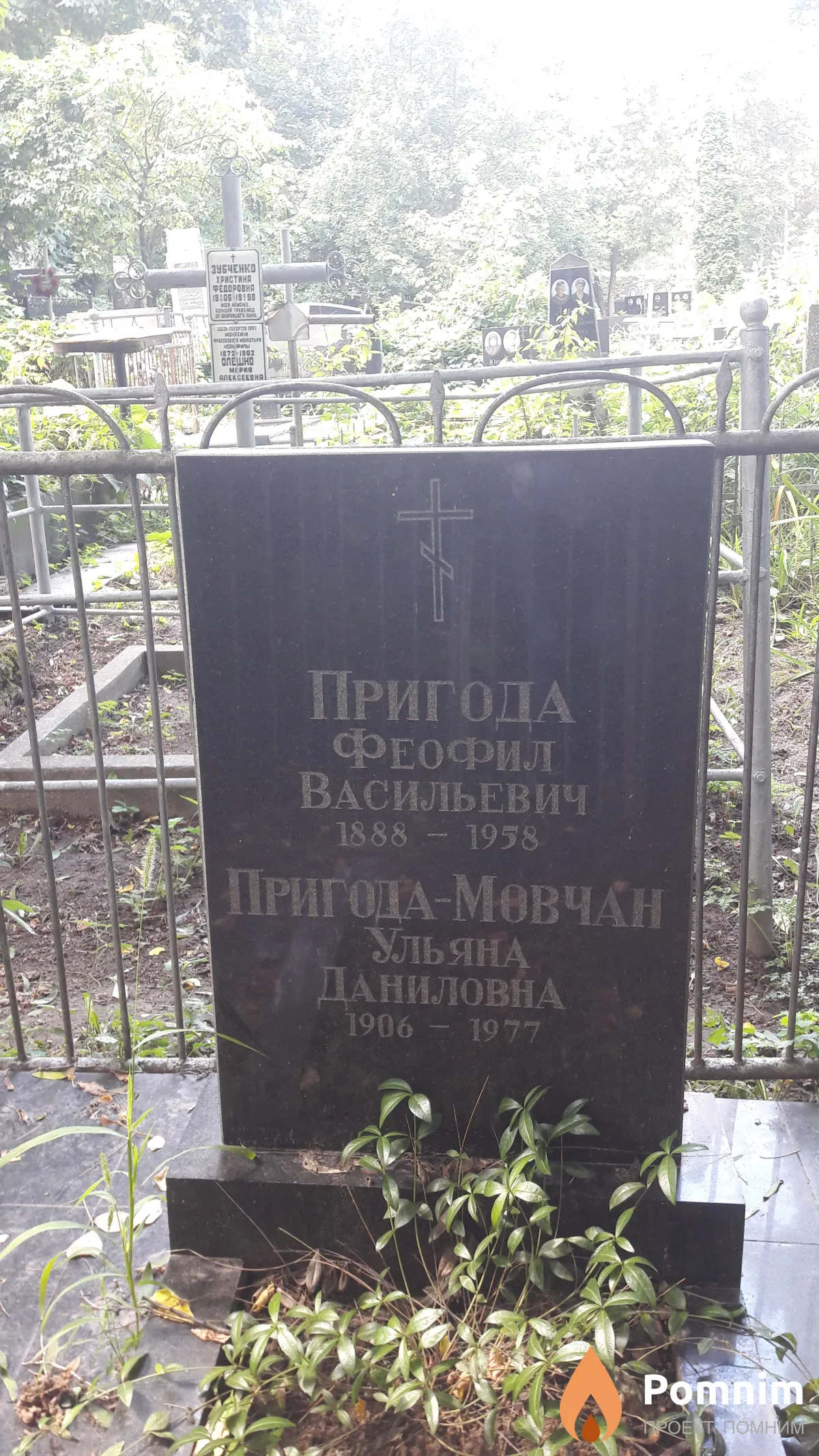 Пригода Феофил Васильевич