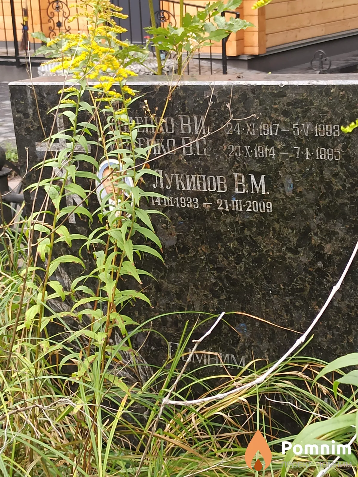 Иоленко В И.