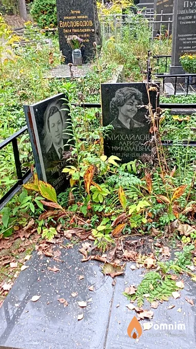 Михайлова Лариса Николаевна