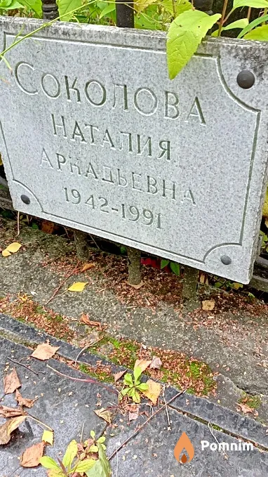 Соколова Наталия Аркадьевна