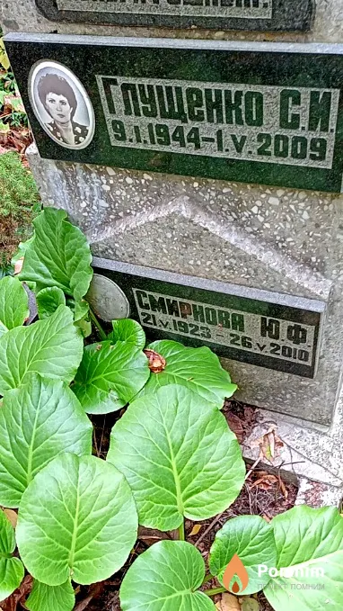Глущенко С И