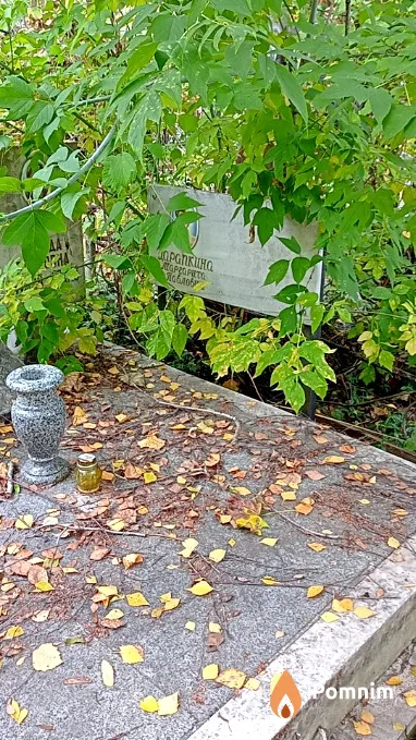 Царапкина Маргарита Павловна