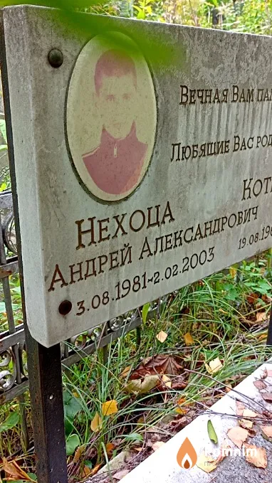 Нехоца Андрей Александрович