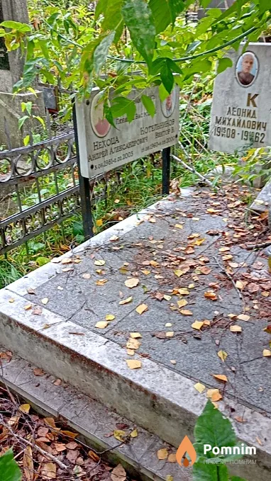 Котельников Виктор В