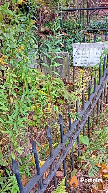 Иевлева Лариса Павловна