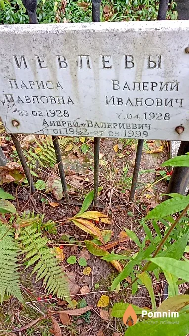 Иевлев Валерий Иванович