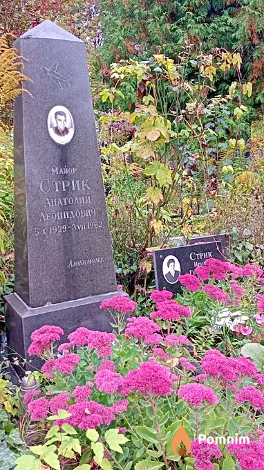 Стрик Анатолий Леонидович