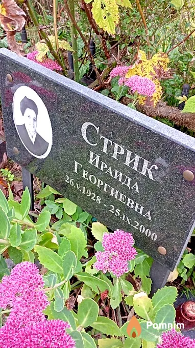 Стрик Ираида Георгиевна