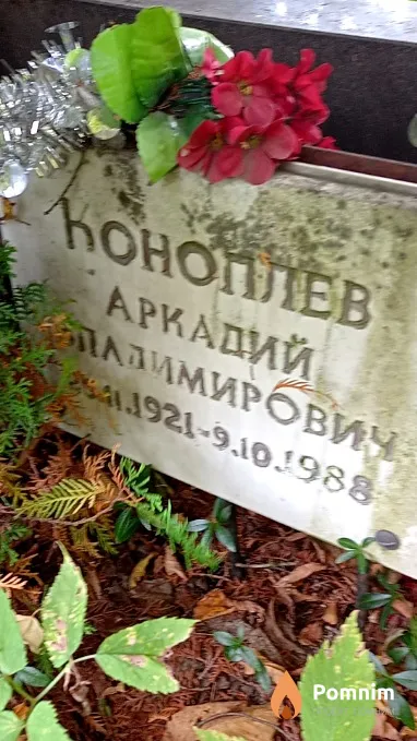 Коноплев Аркадий Владимирович