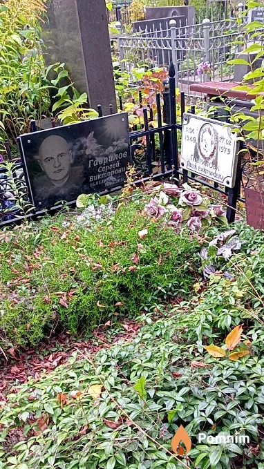 Гаврилова Нина Викторовна