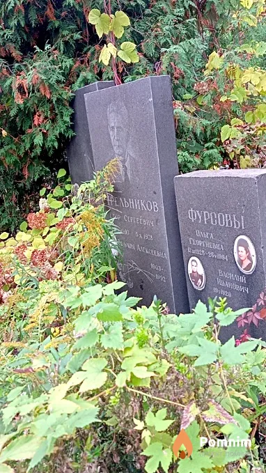 Стрельников Егор Сергеевич