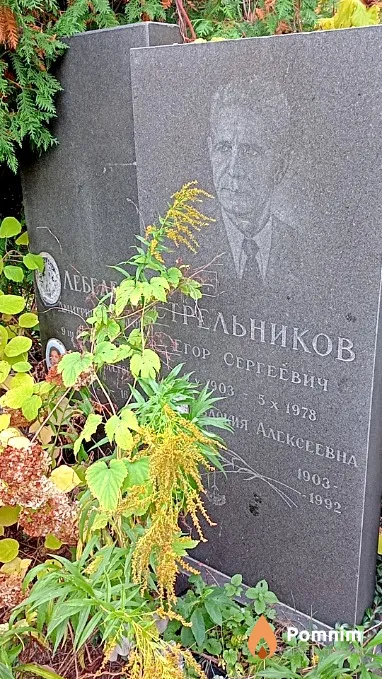 Лебедев Дмитрий Никитович