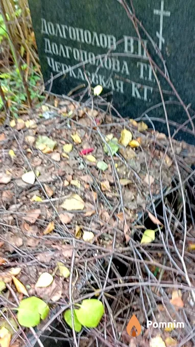 Долгополова В П