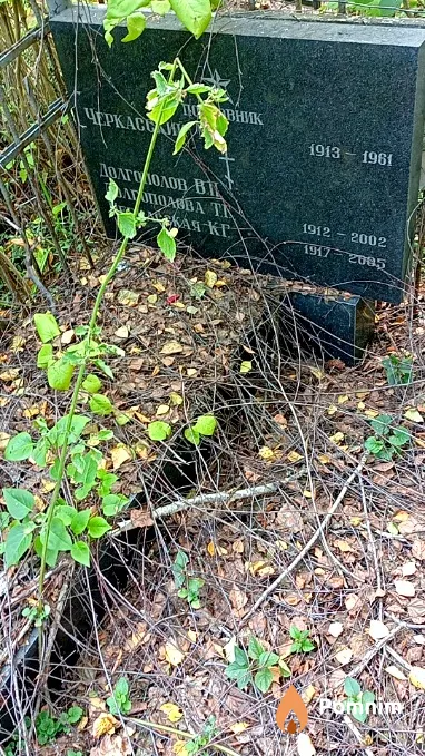Долгополова Т Г