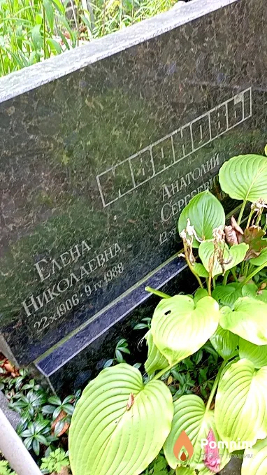 Иванова Елена Николаевна