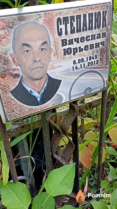 Степанюк Вячеслав Юрьевич