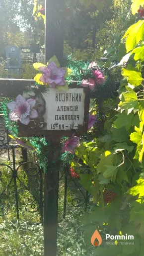 Козятник Алексей Павлович