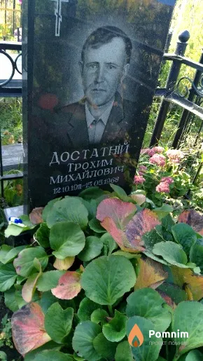 Достатній Трохим Михайлович