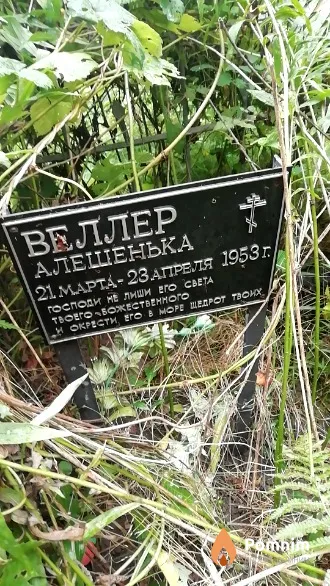 Веллер Алешенька 21.3.1953