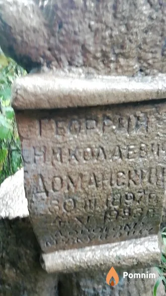 Доманский Георгий Николаевич