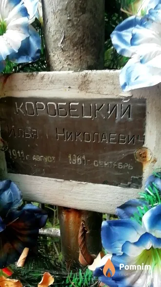 Коробецкий Илья Николаевич