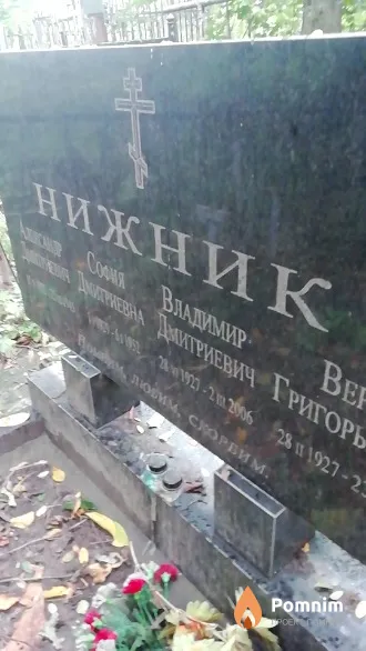 Нижник Владимир Дмитриевич