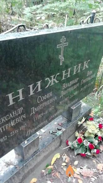 Нижник Александр Дмитриевич