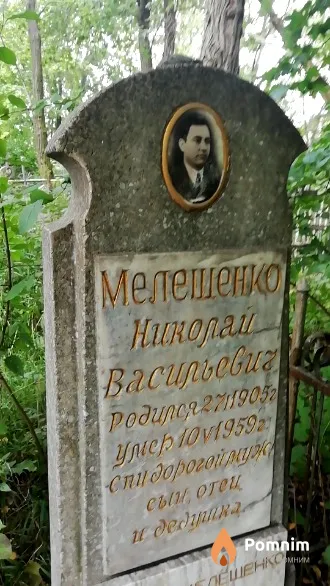 Мелешенко Николай Васильевич