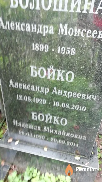 Бойко Александр Андреевич