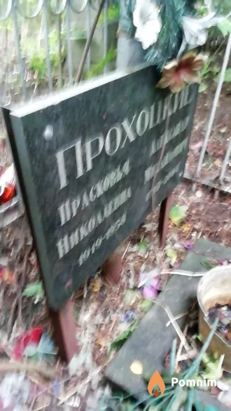 Прохоцкая Прасковья Николаевна