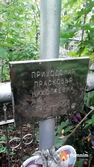 Приходская Прасковья Николаевна