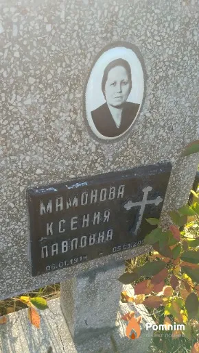 Мамонова Ксения Павловна