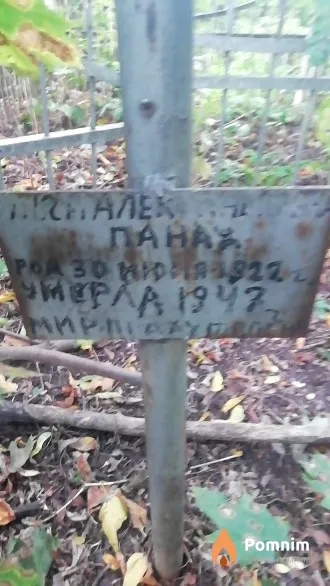 Панах . Александровна