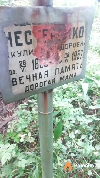 Нестеенко Акулина Федоровна