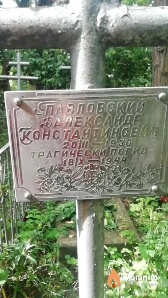 Павловский Александр Константинович
