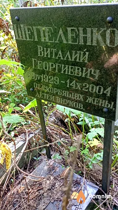 Шепеленко Виталий Георгиевич