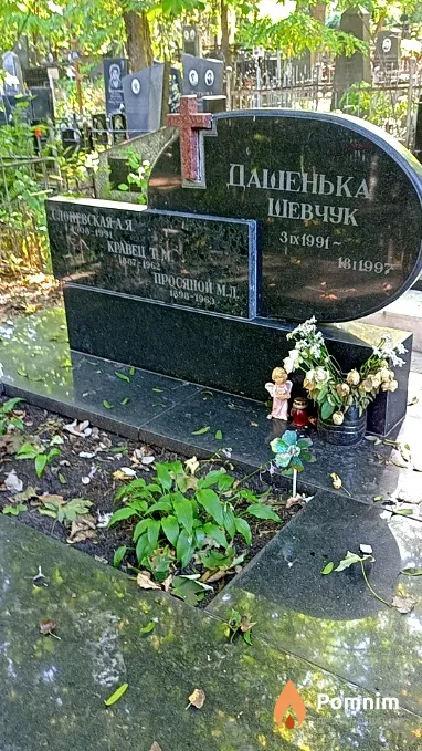 Просяной М Л