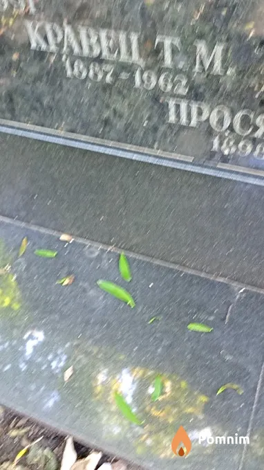 Кравец Т М